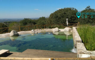 Construcción de biopiscinas en Madrid